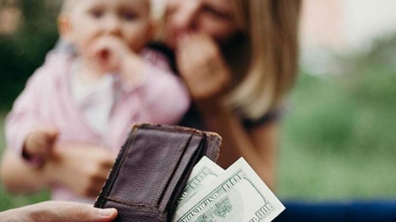 Se propone nuevo Sistema de Cumplimiento de Pensiones de Alimentos thumbnail