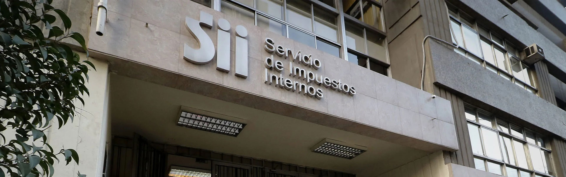 SII aclara incorporación de sociedad de profesionales a 2da categoría thumbnail
